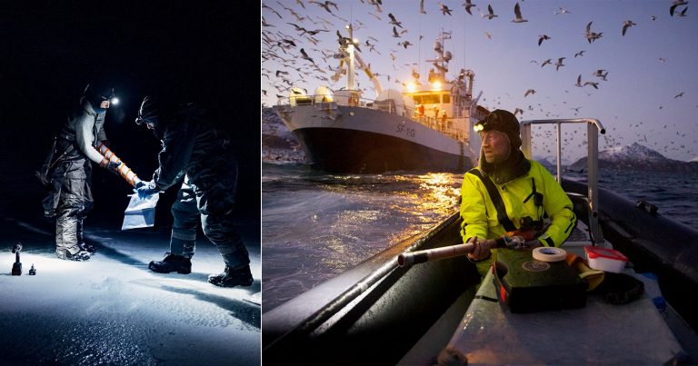 Six Superb Award-Winning Photos Showcase Groundbreaking Science