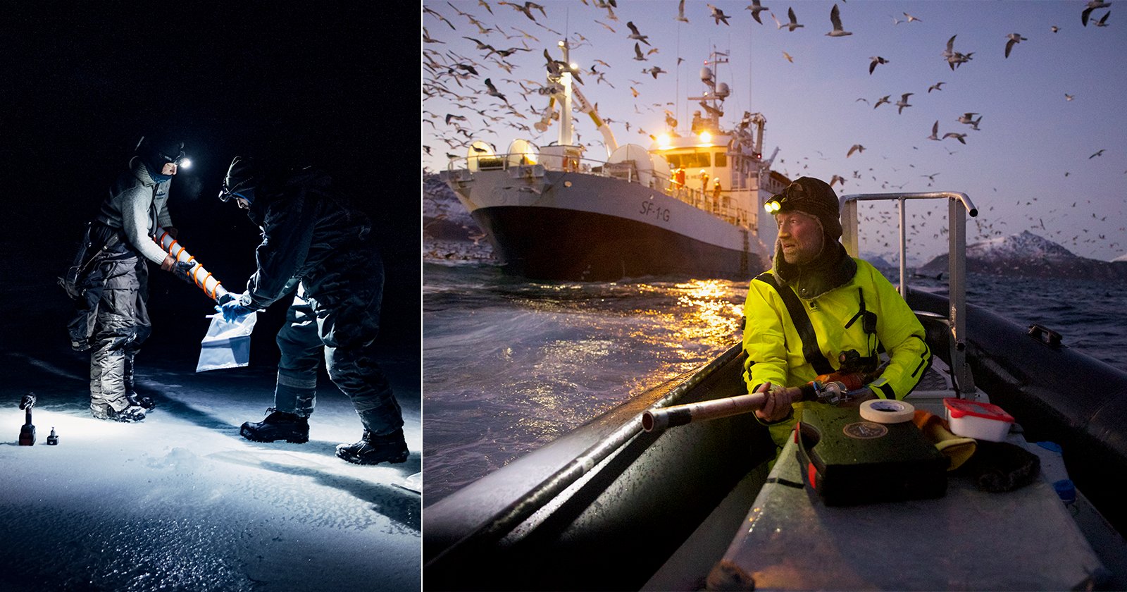 Six Superb Award-Winning Photos Showcase Groundbreaking Science Six Superb Award-Winning Photos Showcase Groundbreaking Science