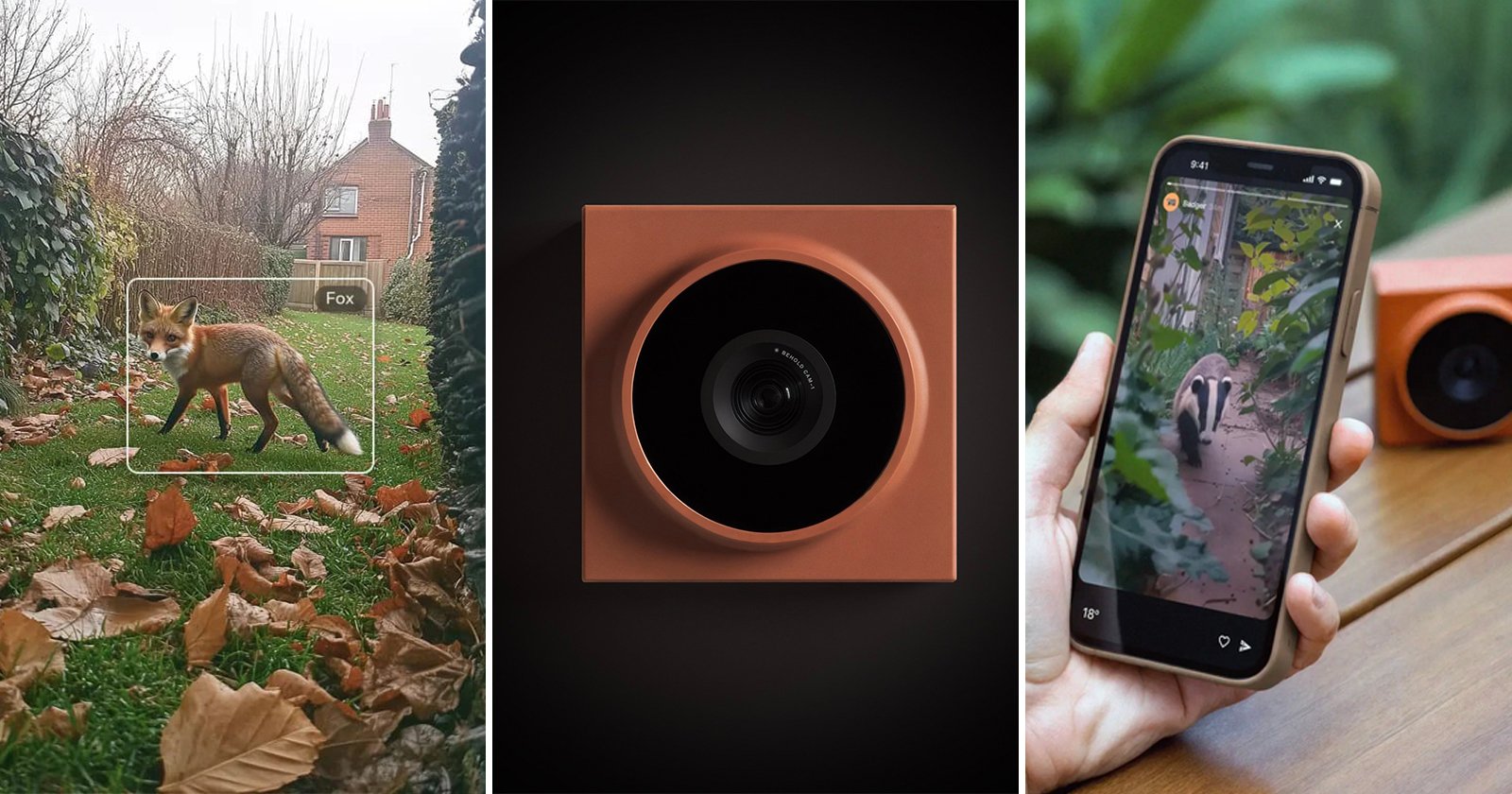 New Behold Trail Camera Revolutionizes Wildlife Observation New Behold Trail Camera Revolutionizes Wildlife Observation