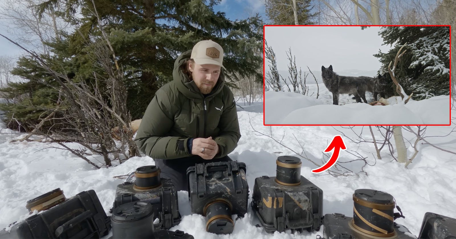 Filmmaker Leaves $100K in Cameras in the Wild to Capture Rare Footage of Wolves Filmmaker Leaves $100K in Cameras in the Wild to Capture Rare Footage of Wolves