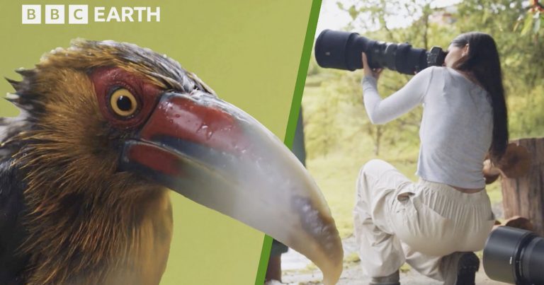 ‘How to Take Stunning Wildlife Photos’ is a Free 45-Minute Educational Video