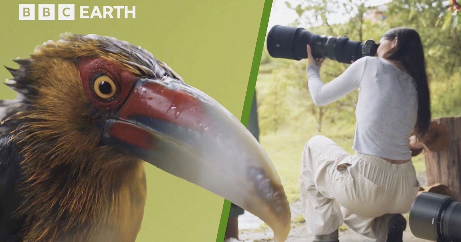 ‘How to Take Stunning Wildlife Photos’ is a Free 45-Minute Educational Video ‘How to Take Stunning Wildlife Photos’ is a Free 45-Minute Educational Video