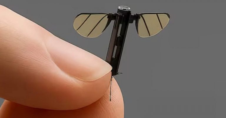 China’s Mosquito Drone Has Tiny Cameras for Spying
