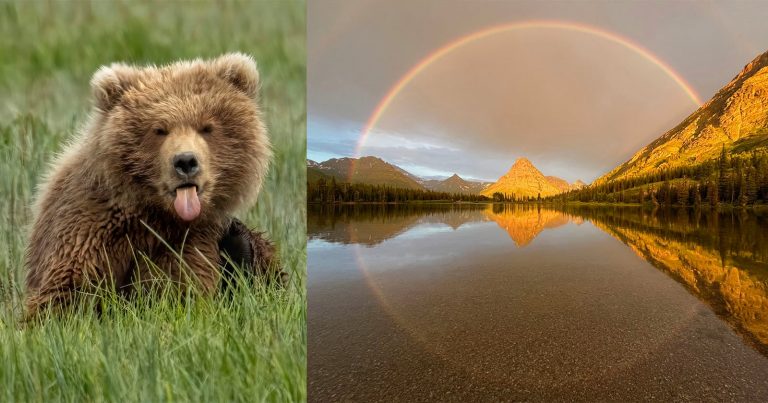National Park Foundation Announces Photo Contest Winners Celebrating America the Beautiful