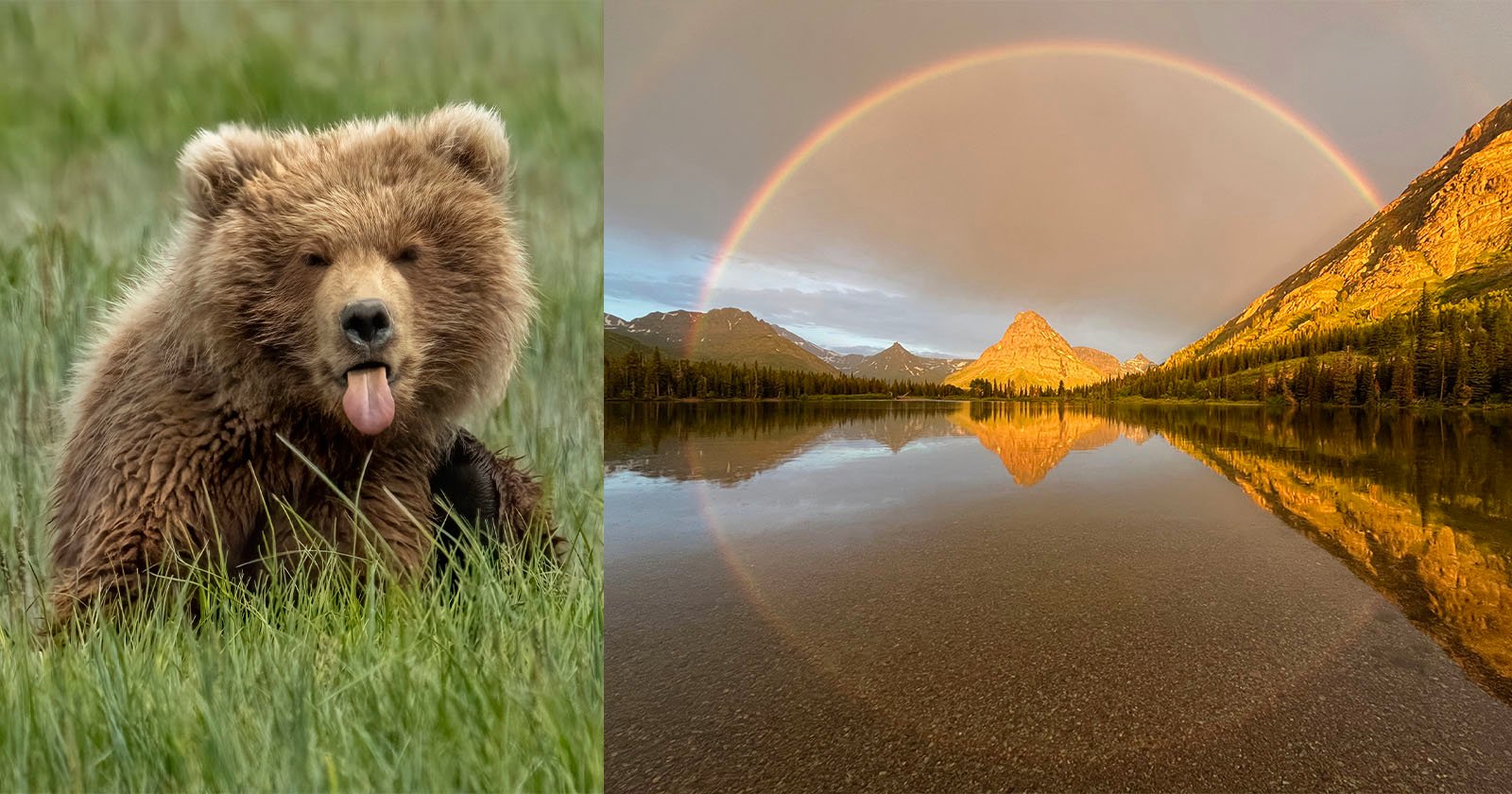 National Park Foundation Announces Photo Contest Winners Celebrating America the Beautiful National Park Foundation Announces Photo Contest Winners Celebrating America the Beautiful