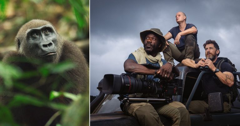 ‘The Wild Ones’ Captured World’s Most Endangered Species With Over 350 Custom Cameras