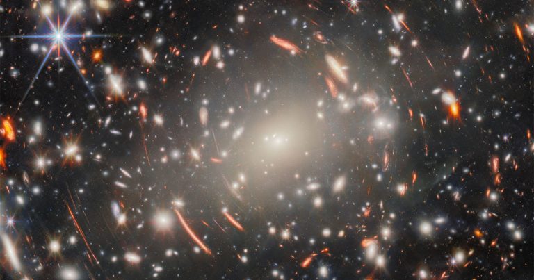 Webb Captures a Cosmic Forest of Ancient Galaxies