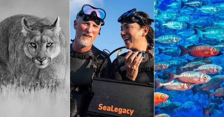 How Love for Earth and Each Other Fuel Photographers Cristina Mittermeier and Paul Nicklen