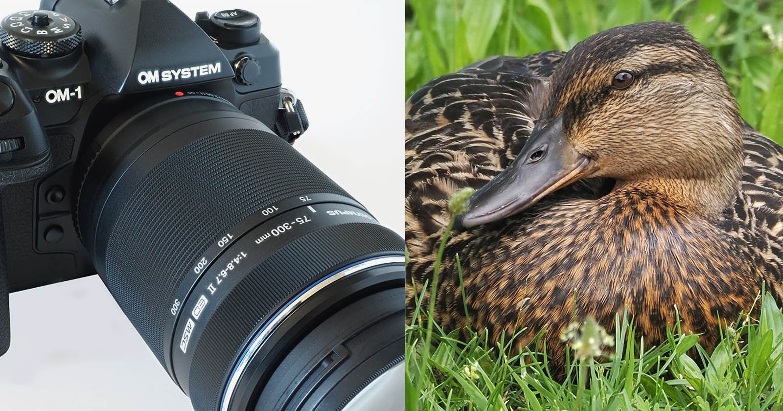 Advances in Digital Zoom Technology Breathe New Life into Shorter Lenses Advances in Digital Zoom Technology Breathe New Life into Shorter Lenses