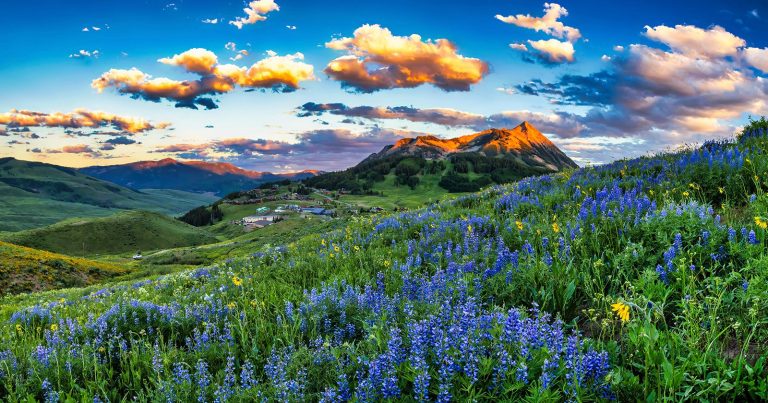 Luminar Neo Supercharges Your Photo Editing Workflow