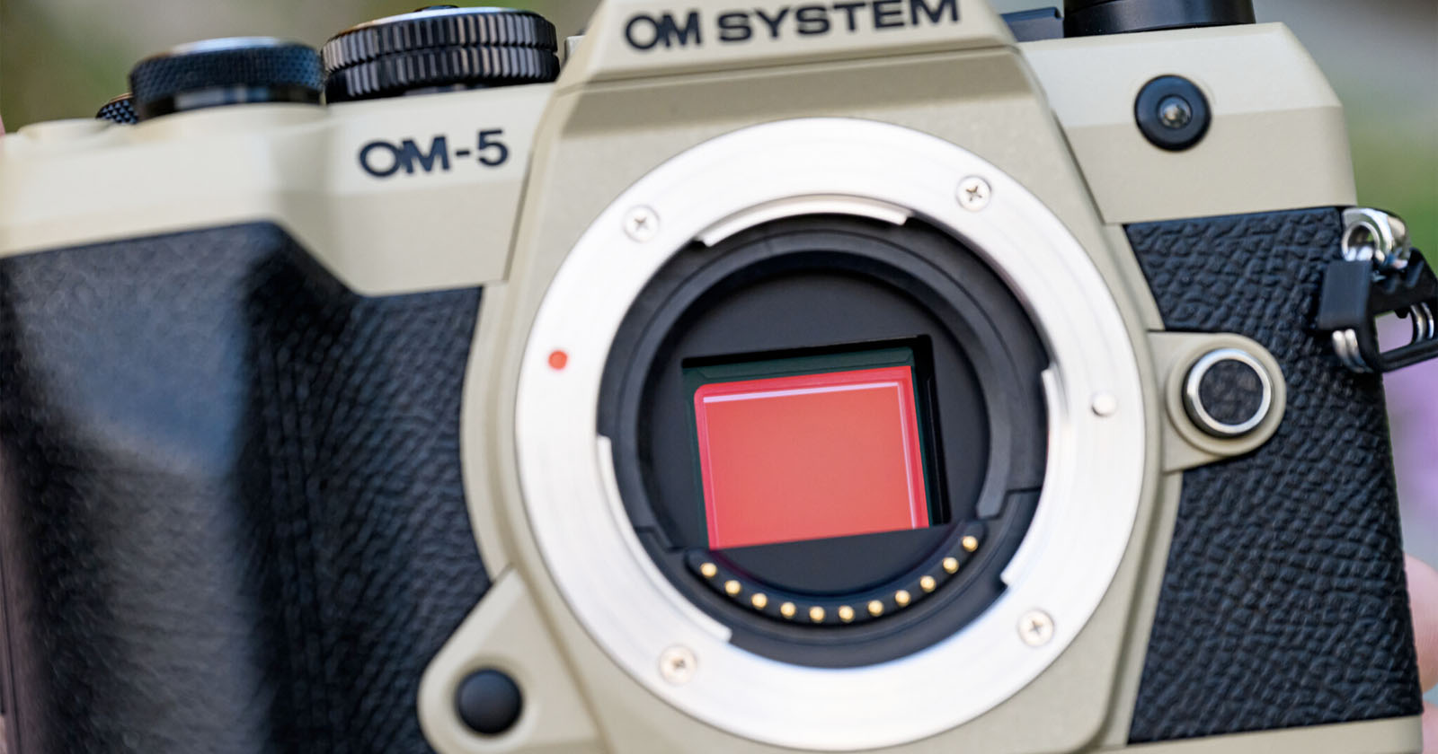 OM System Is Considering AI Upscaling as a Solution to Low Resolution Sensors OM System Is Considering AI Upscaling as a Solution to Low Resolution Sensors