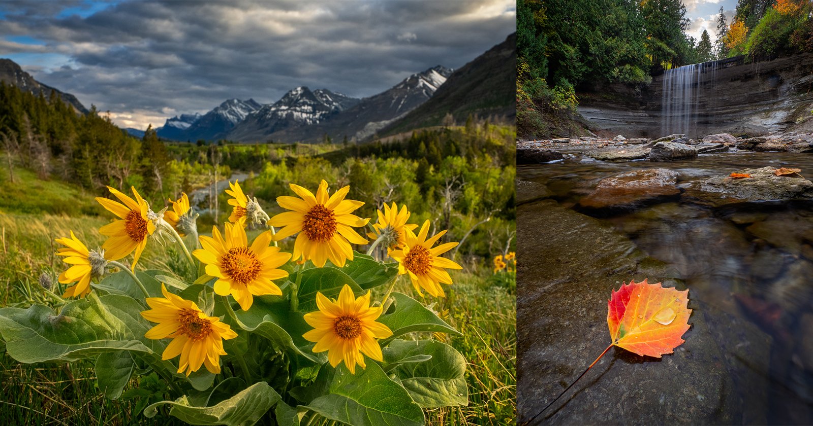 A Complete Guide to Capturing Creative Landscape Photography A Complete Guide to Capturing Creative Landscape Photography