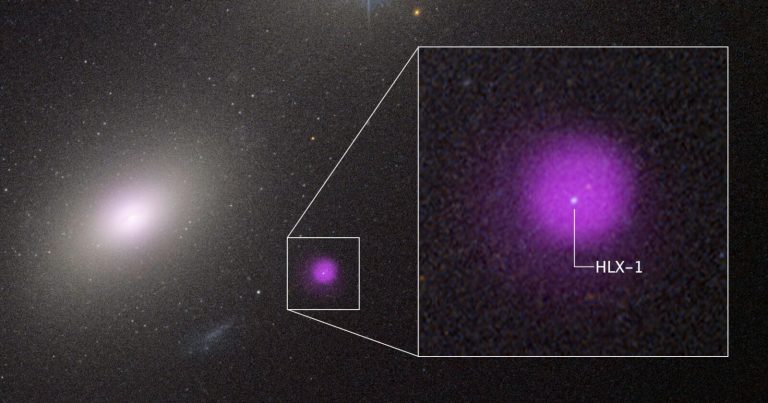 Scientists Spot an Exceptionally Rare ‘Intermediate’ Black Hole Eating a Star