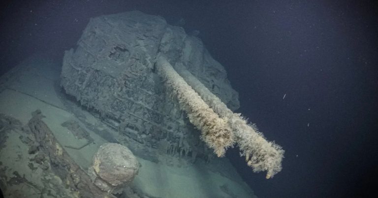 Underwater Camera Captures First-Ever Images of Japanese WWII Warship