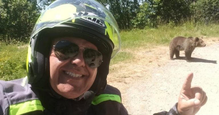 Motorcyclist Takes Photos With Bear and Gets Mauled To Death