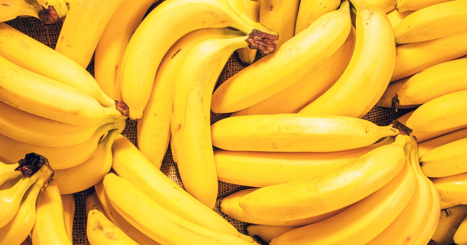 Is a Tech Giant Behind Mysterious AI Image Generator That is ‘Cooking Photoshop?’