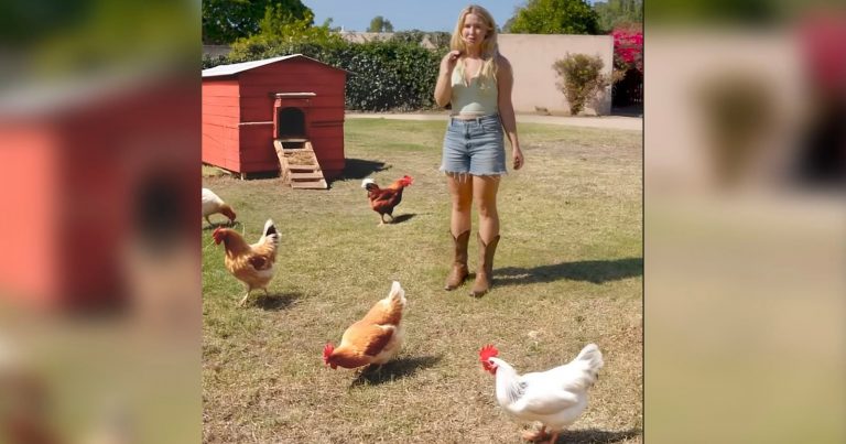Farm Video Challenges Viewers to Figure Out What is AI and What is Real