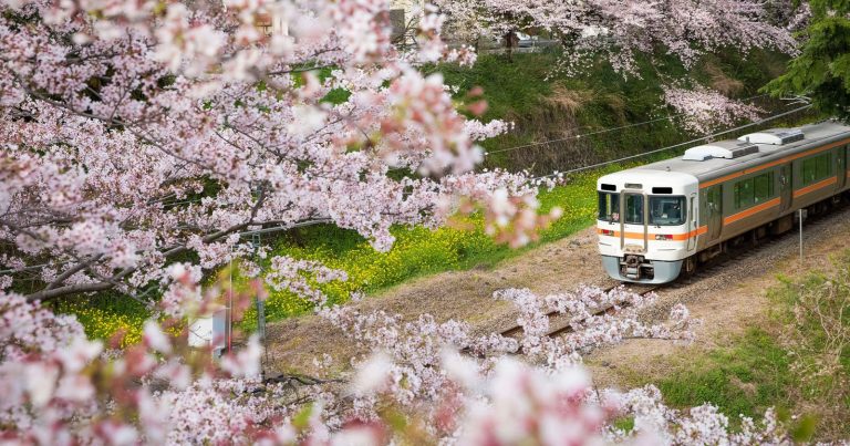 Japanese Train Photographers are Menacing Society