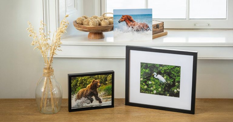 How Lumaprints’ Custom Printing Services Empower Photographers