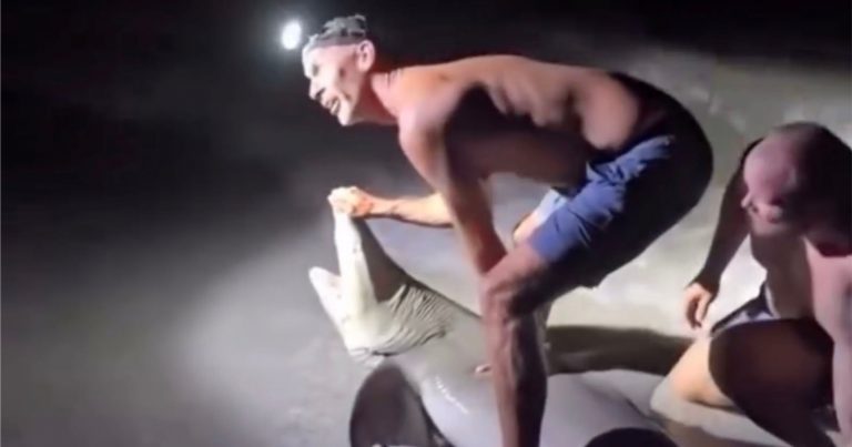 Florida Man Airlifted to Hospital After Posing for Photo With Shark