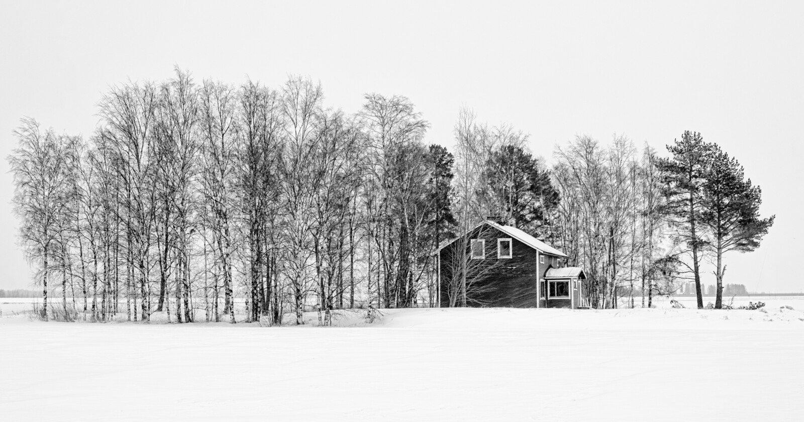 Your First Exciting Steps Into Understanding Metering and Exposure