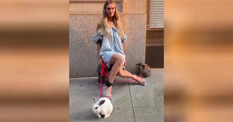 Fake Heiress Accused of Dumping Bunnies in New York Park after Photo Shoot