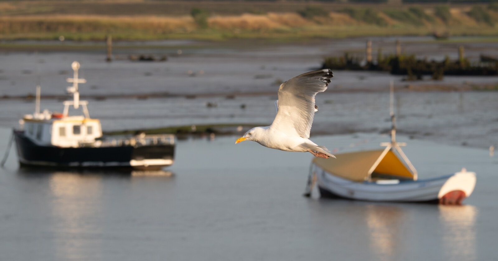 Understanding Aperture Will Instantly Improve Your Photography