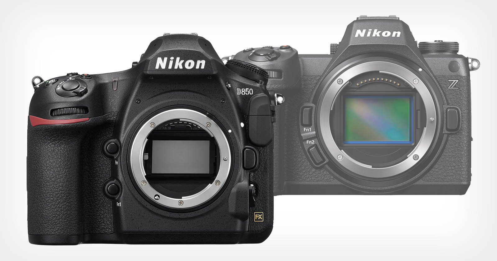 DSLR vs Mirrorless Cameras: Why My DSLR Still Wins