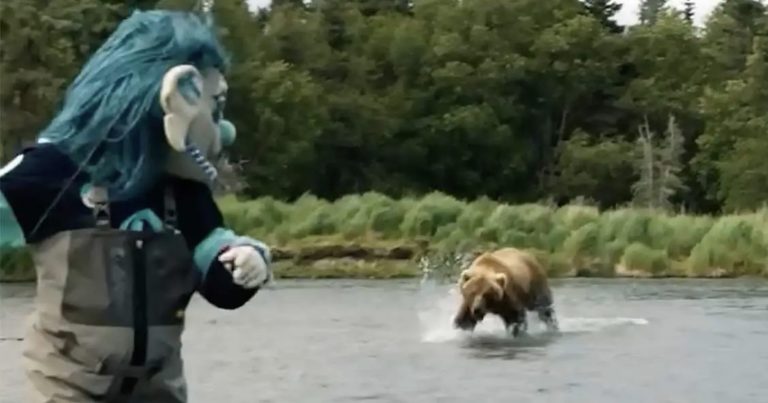 Hockey Team’s Mascot is Charged by Grizzly Bear While Filming Video