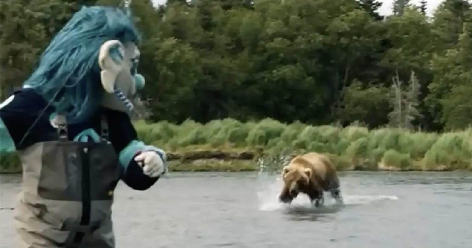 Hockey Team’s Mascot is Charged by Grizzly Bear While Filming Video