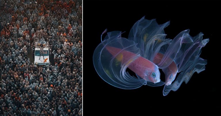 These International Photography Awards Winners Are Battling for $15,000