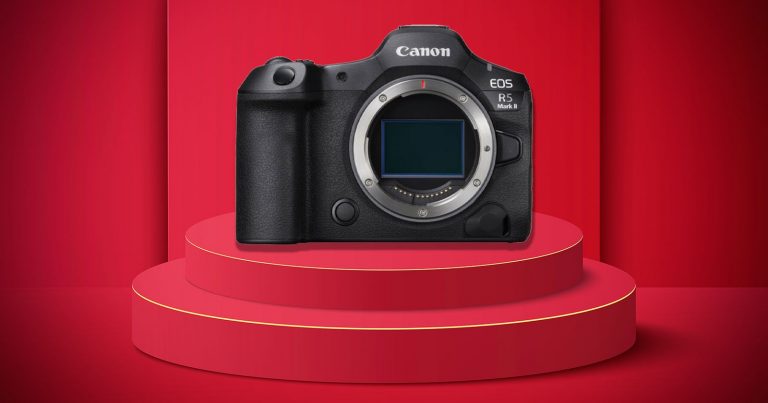 Canon Had the Top Camera Market Share in 2024