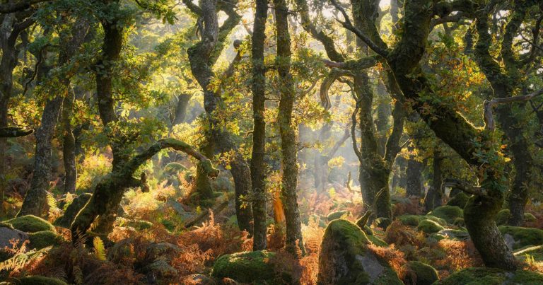 The Natural Landscape Photography Awards Shuns AI and Composites