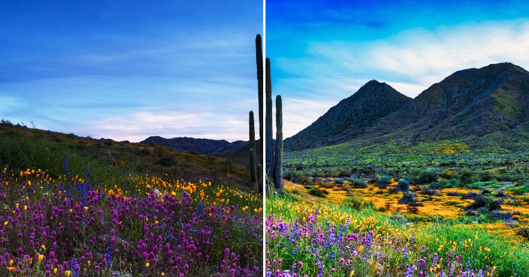 The Luminar Neo Plugin Easily Fits Into Your Existing Photo Editing Workflow