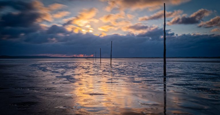 A Beginners Guide to Autofocus Part II: Modes and Tracking