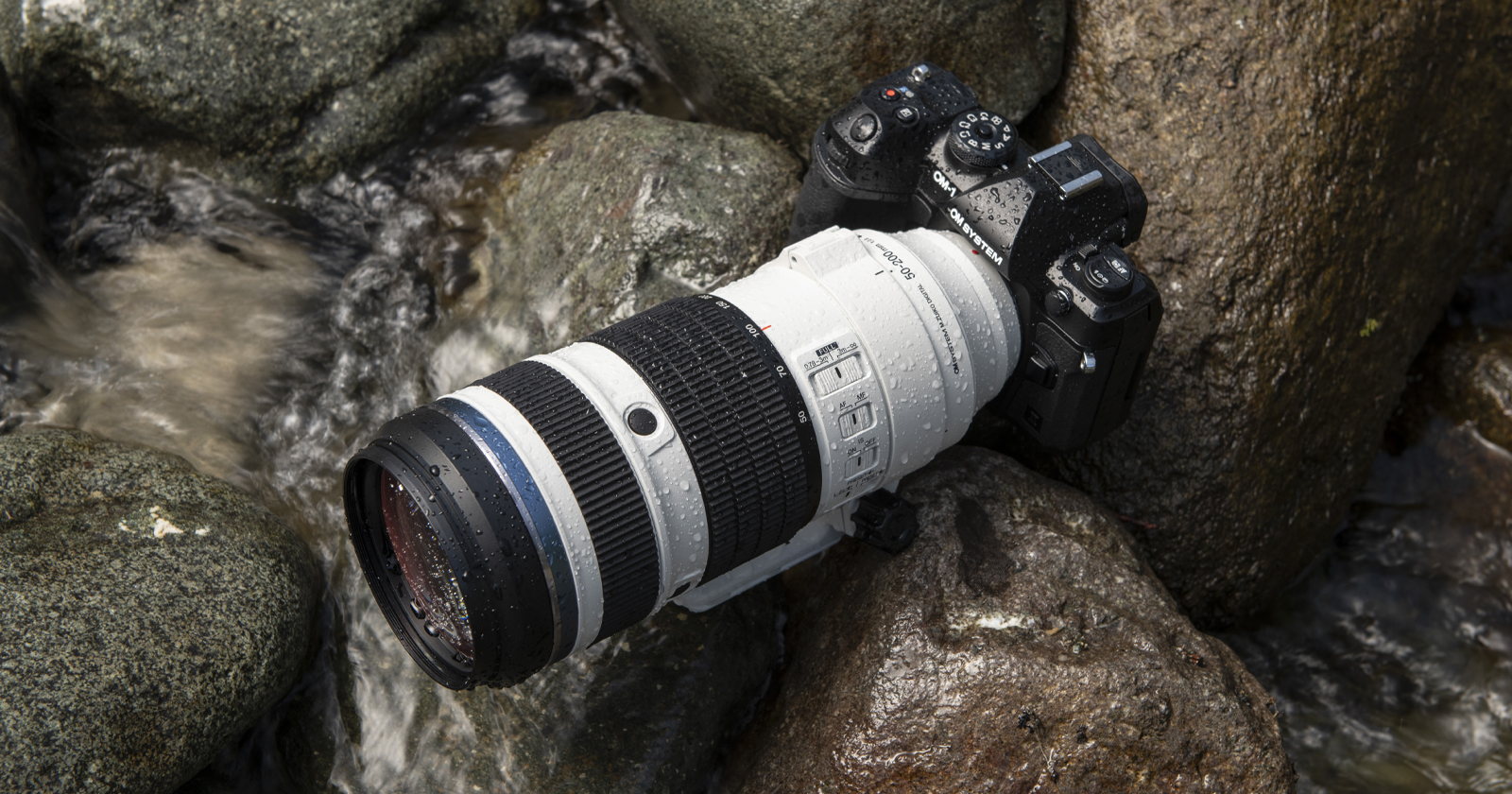 The OM System 50-200mm f/2.8 IS Pro Flexes the Strength of Micro Four Thirds