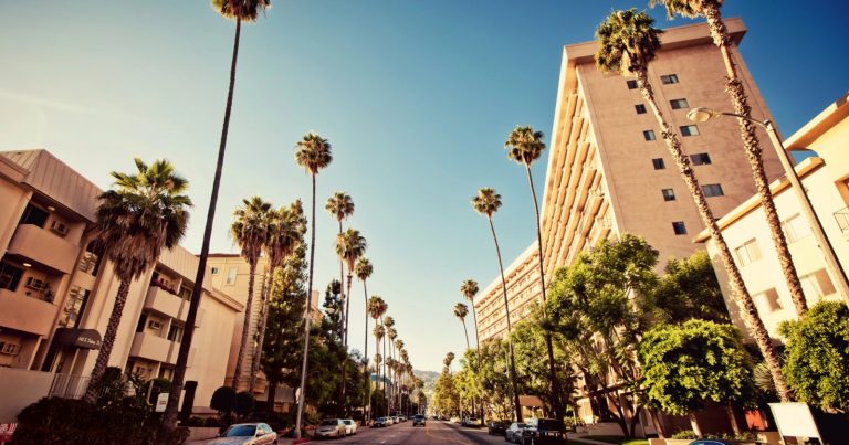 Beverly Hills Residents Concerned Over Rise in ‘Dangerous’ Palm Tree Photos