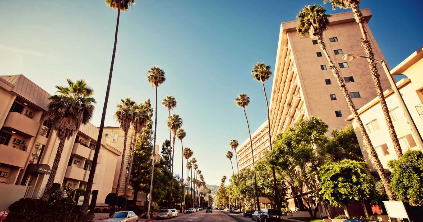 Beverly Hills Residents Concerned Over Rise in ‘Dangerous’ Palm Tree Photos Beverly Hills Residents Concerned Over Rise in ‘Dangerous’ Palm Tree Photos
