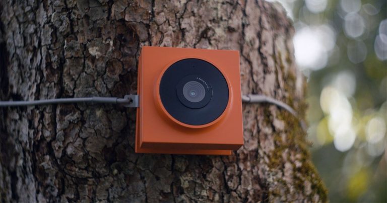 Behold Cam-1 Is a Stylish AI-Powered Wildlife Camera Designed for Everyone