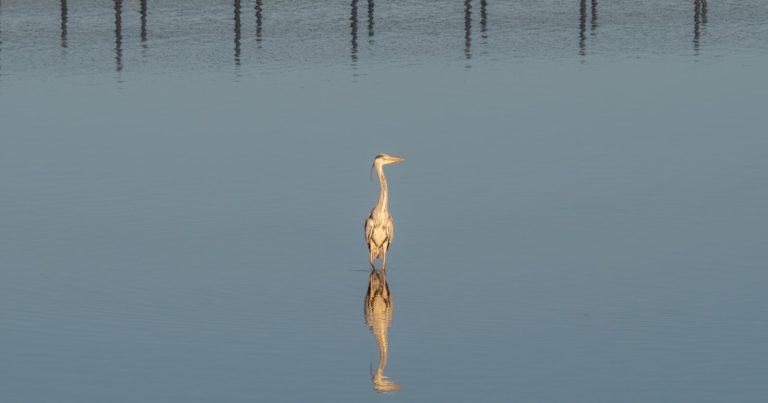 Is ‘Beauty’ in Photography Out of Step with the ‘Art’ of Photography?