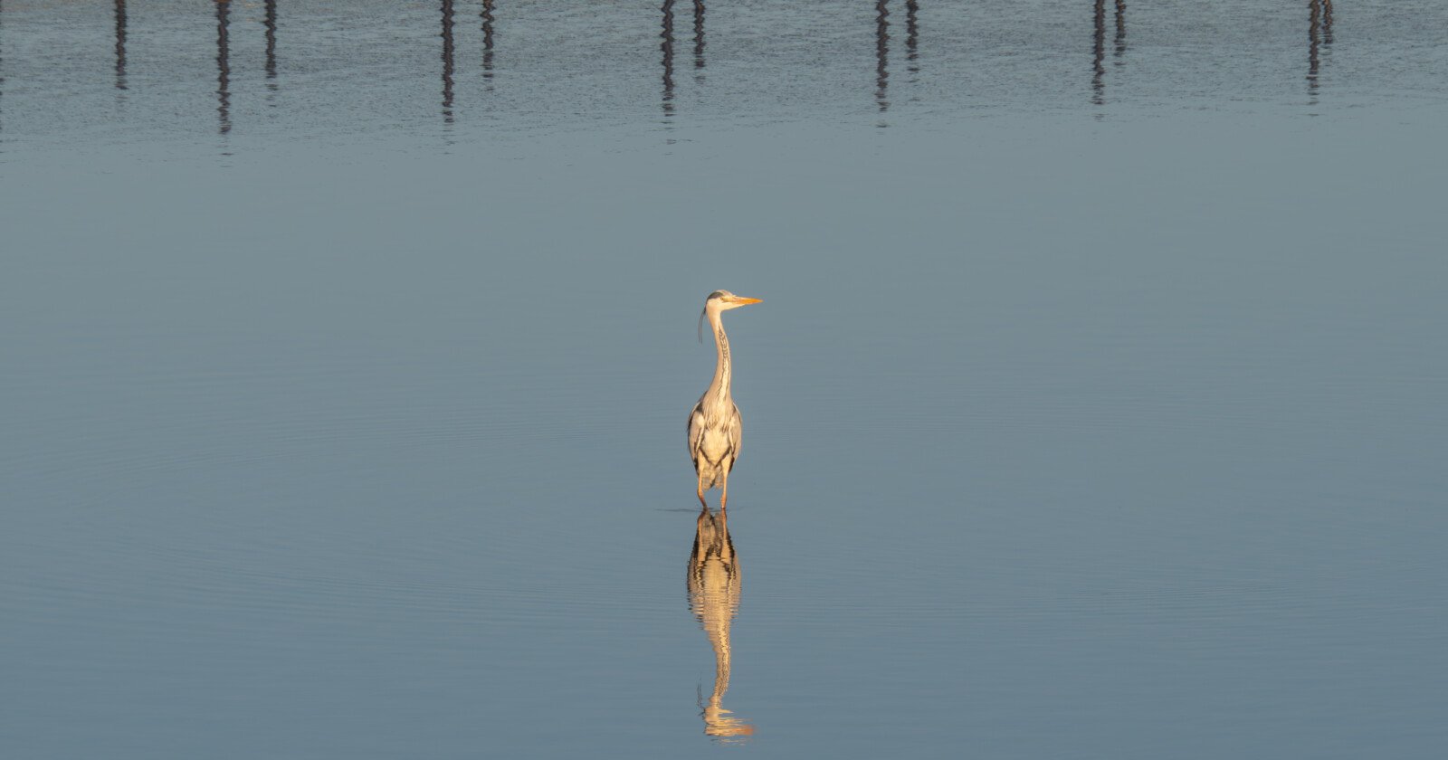 Is ‘Beauty’ in Photography Out of Step with the ‘Art’ of Photography?
