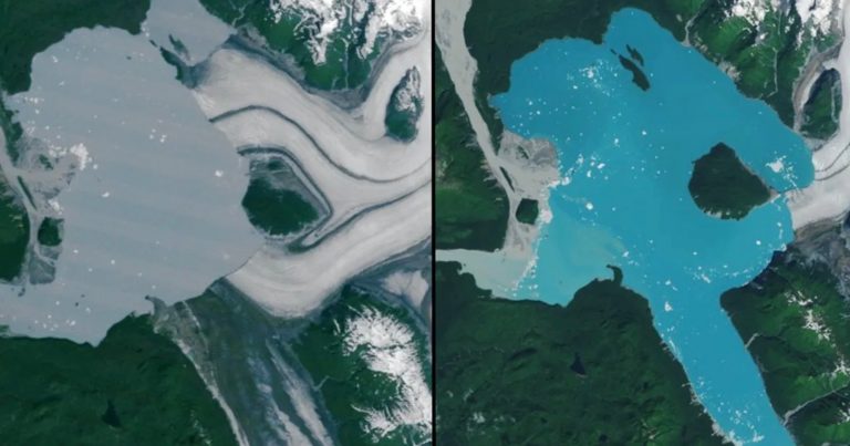 Satellite Photos Show New Island Forming From Melting Glacier in Alaska