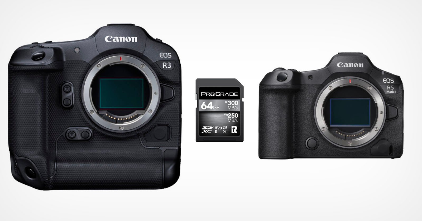 ProGrade Quickly Fixes SD Card Issue With Certain Canon Cameras ProGrade Quickly Fixes SD Card Issue With Certain Canon Cameras