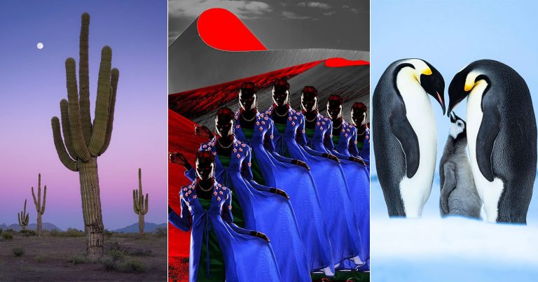 20 Award-Winning Photos From 1839 Awards’ Photographer of the Year