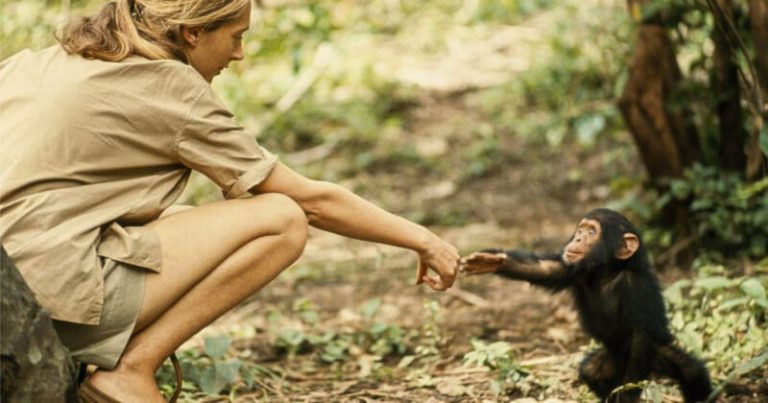 Jane Goodall, Conservationist and Supporter of the Photographic Arts, Has Passed Away