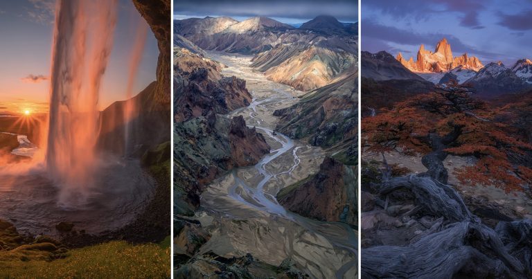 How a Photographer Turned His Love of Nature Into an Incredible Career