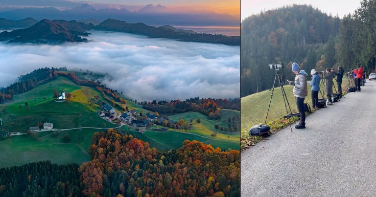 Dozens of Photographers Arrive at Alpine Beauty Spot for Spectacular Cloud Inversion