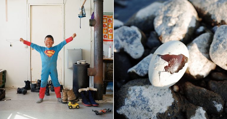 The Nikon Film and Photo Contest Winners Are an Inspiration