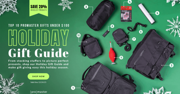 Top 10 ProMaster Gifts Under $100