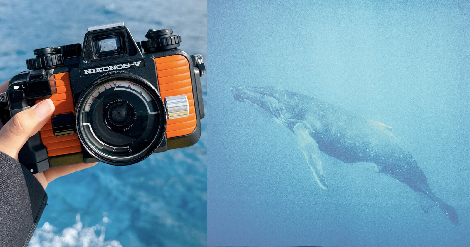Nikon’s 40-Year-Old Underwater Film Camera Still Offers a Unique Experience